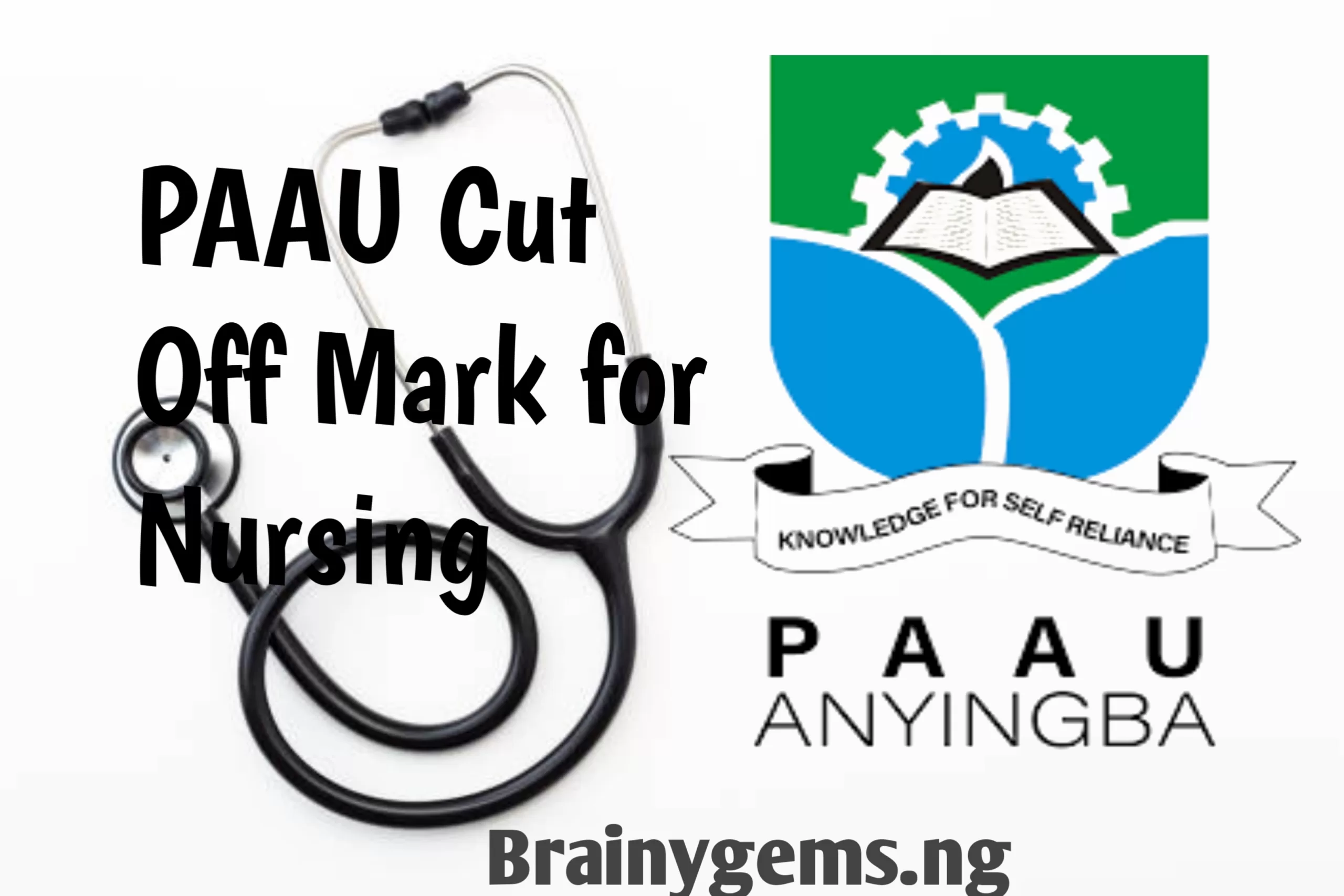 PAAU Image || PAAU Cut Off Mark for Nursing